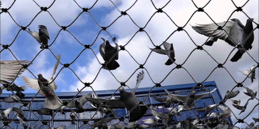 Retail Interior Design