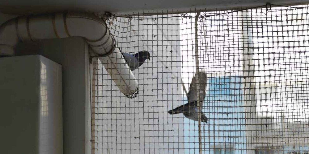 Office Interior Design