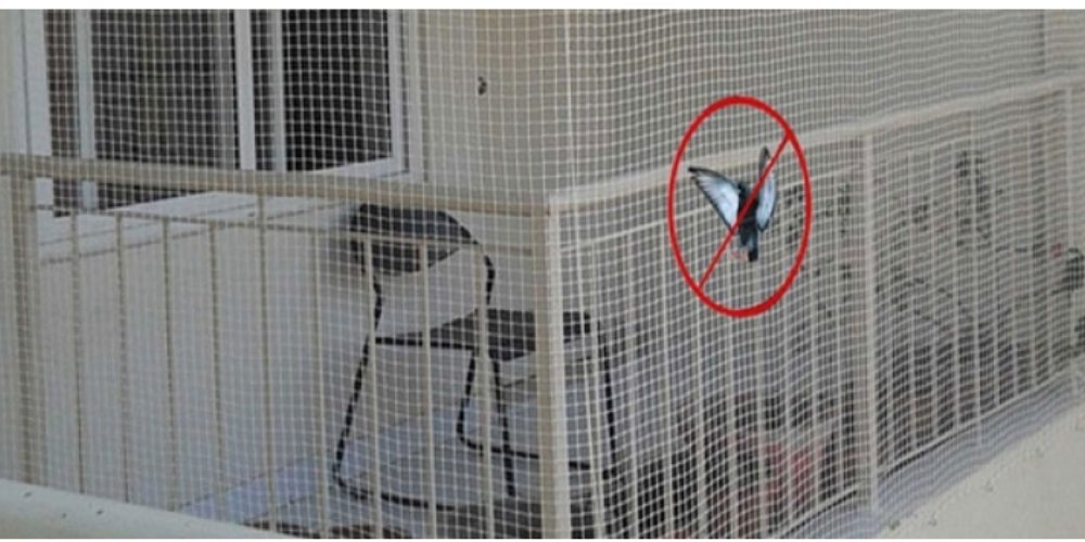 restaurants Interior Design