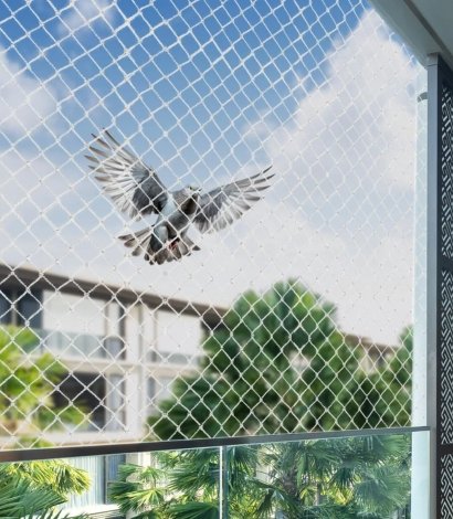Pigeon Net